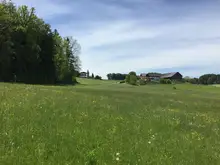 Neues Einfamilienhaus SONNENLOFT 1