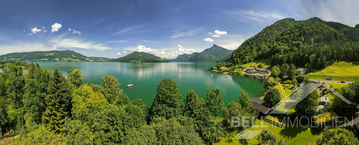 Ausblick/Drohnenfoto vom Grundstück auf den Mondsee